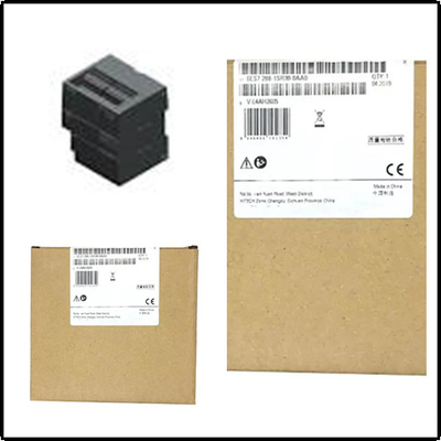 Elektroplc die van 6ES7288 1SR40 0AA1 Plc van Modicon programmeren Telemecanique Elau