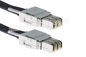 STAPEL - T1 - 50CM Cisco StackWise - het Stapelen 480 Kabel voor Cisco-Katalysator 3850 Reeksenschakelaar